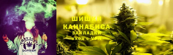 дживик Балахна