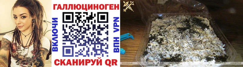 Галлюциногенные грибы Psilocybine cubensis  Скопин 